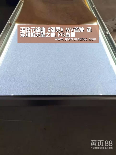 毛政元新曲《别哭》MV首发 深爱难抵失望之痛_PG直播(图2) PG公司
