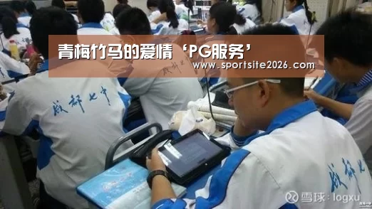 PG模拟器