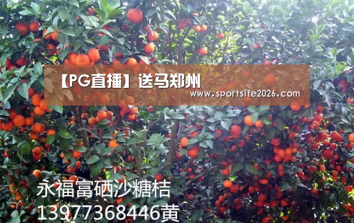 PG模拟器