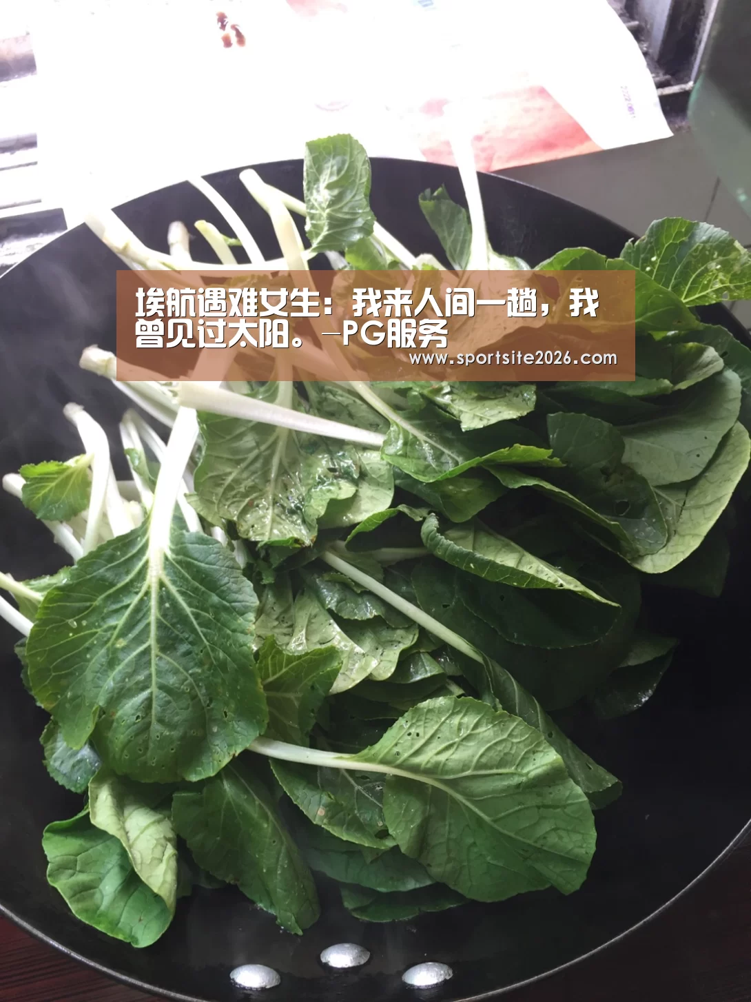 埃航遇难女生:我来人间一趟,我曾见过太阳。-PG服务(图2) PG公司